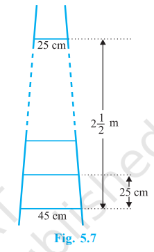 ladder